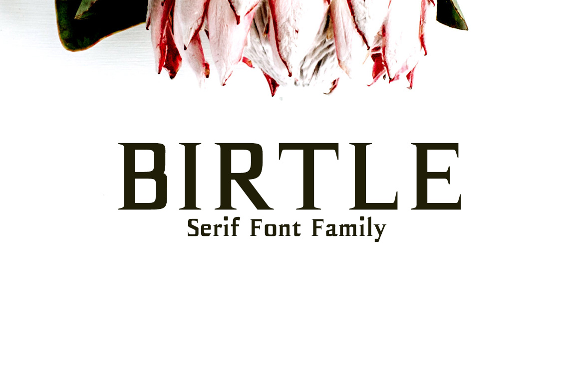 Birtle: A Modern Serif for Business