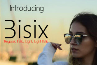 Bisex: A Clean, Modern Font for Makers
