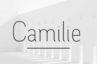 Camilie Family: A Modern Sans Serif for Clean Campaign Typography