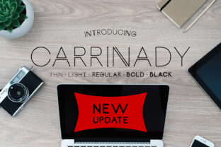 Carrinady: A Modern Font for Creative Campaigns