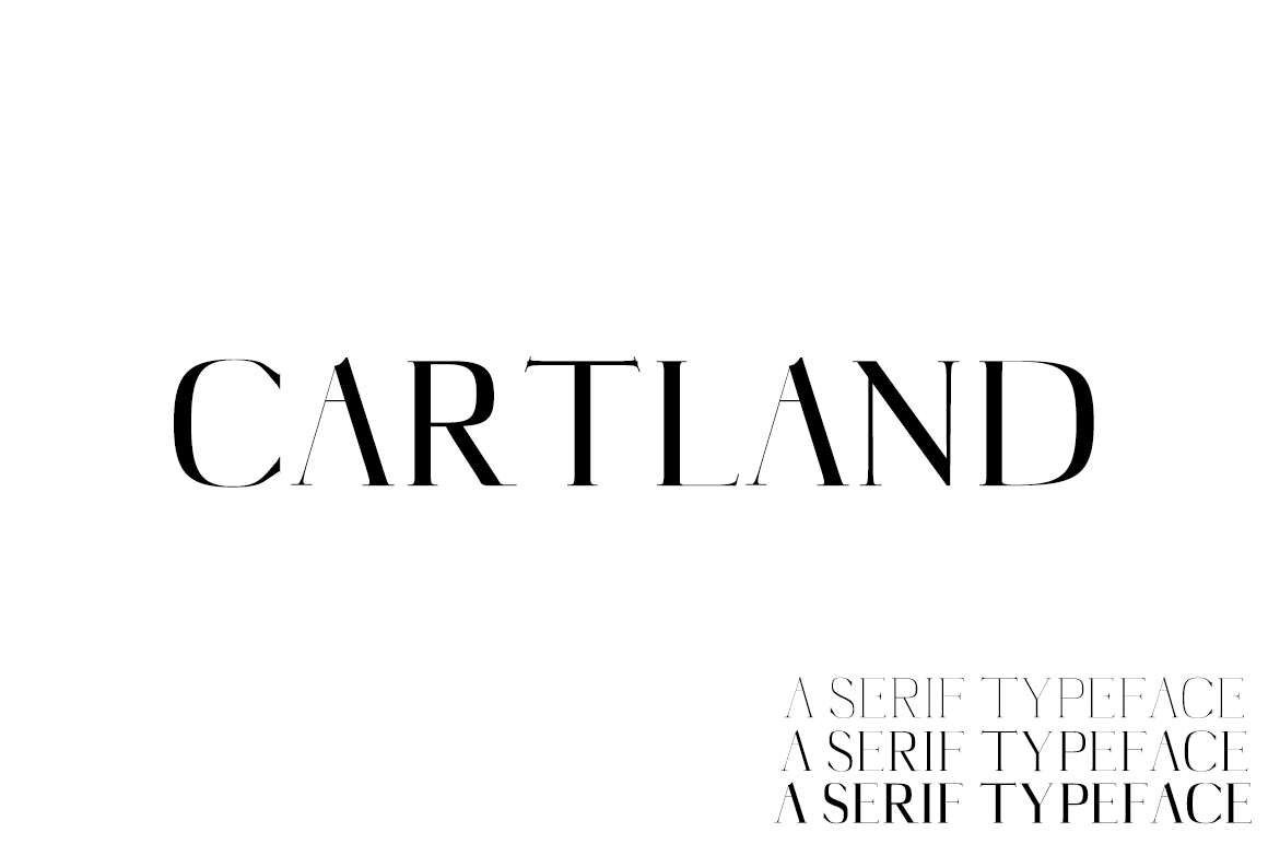 Cartland: A Modern Serif Font for Business Branding