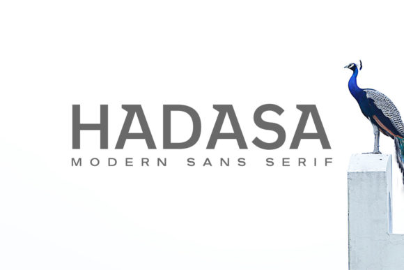 Hadasa Family: A Font for Impactful Campaigns