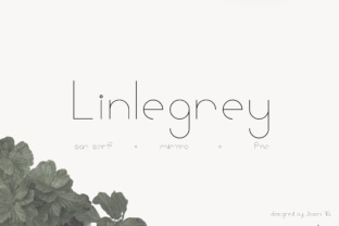 Linlegrey: A Modern Sans Serif for Campaigns