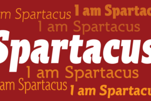 Spartacus Family: A Bold Slab Serif for Real Projects